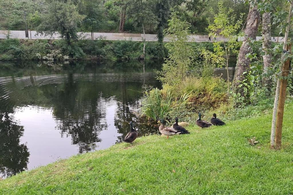 Nature E Spa Al - Termas Saude E Beleza, Totalmente Renovado - Piscinas Municipais Em Frente - Epoca Julho A Setembro Сан-Педру-ду-Сул Екстер'єр фото
